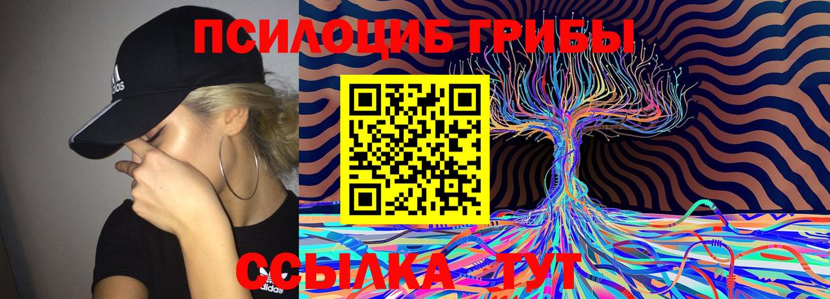 Протвино  Псилоцибиновые грибы Magic Shrooms  Вход с VPN 