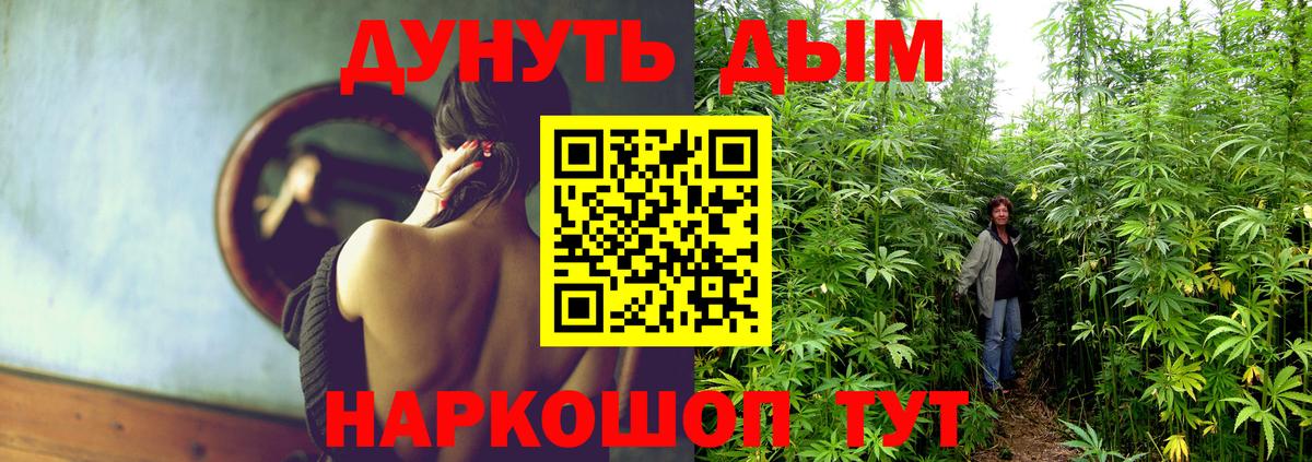 Шишки марихуана план Протвино